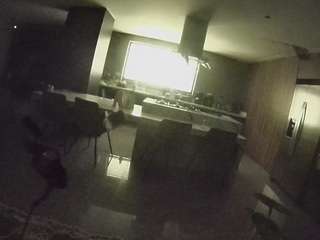 voyeurcam casa salsa fishtank